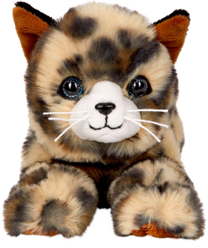 Liegende Katze Jasmin