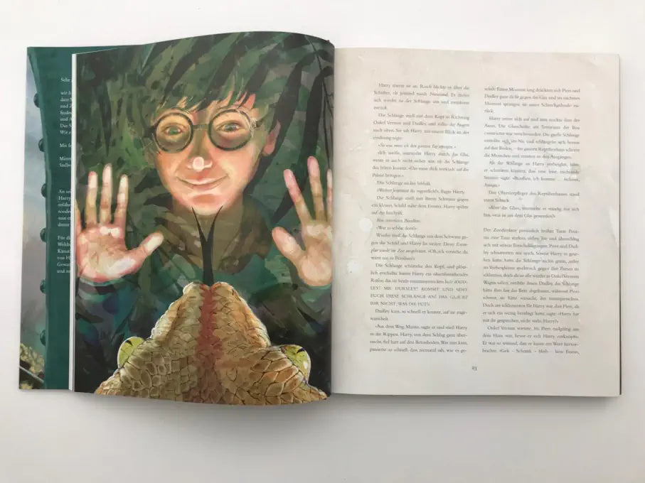 Harry Potter und der Stein der Weisen - Schmuckausgabe