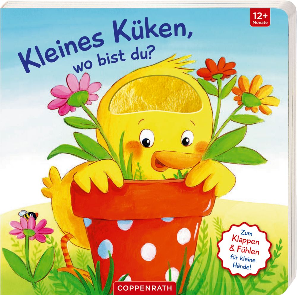 Kleines Küken, wo bist du ?
