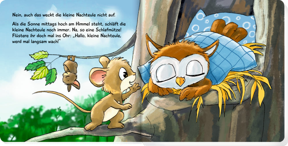 Was machst du, kleine Nachteule? - Ein Mitmachbuch