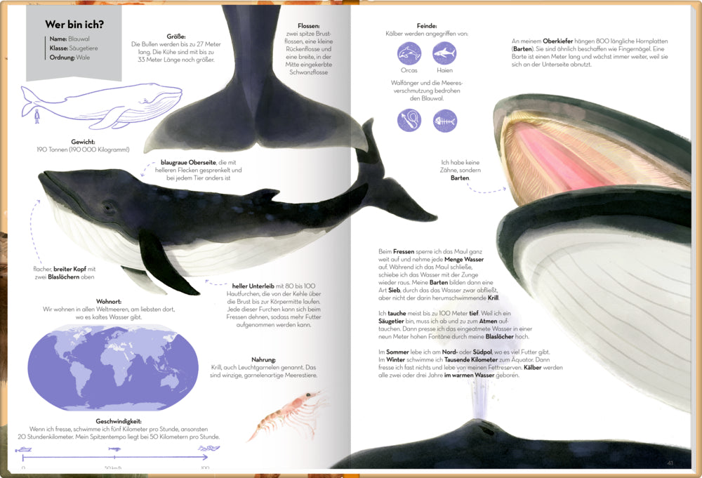 Großartig - Echt große Tiere