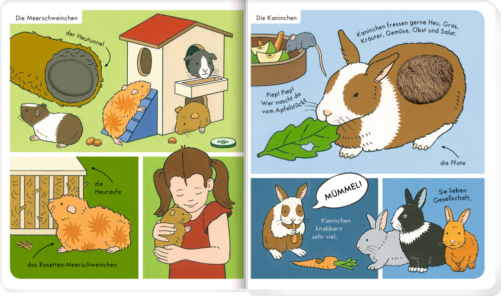 Mein Fühlwörterbuch: Streichelzoo