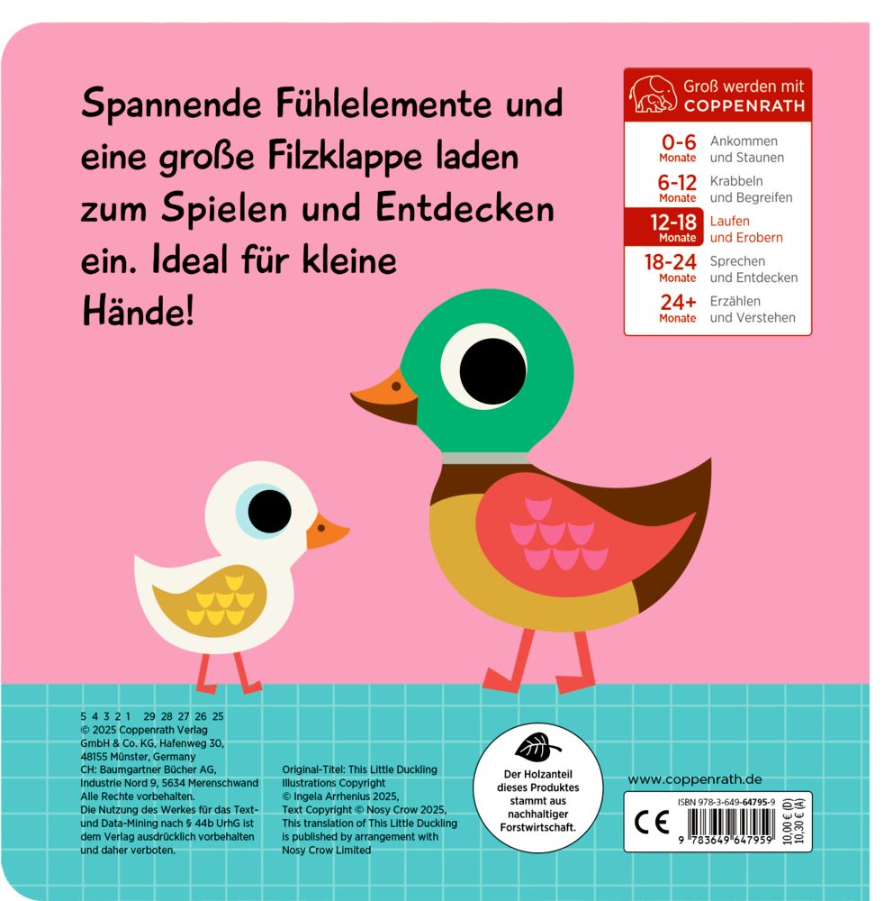 Mein Fühlbuch: Kleine Ente (Fühlen&begreifen)