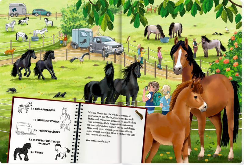 Mein riesengroßes Wimmel-Such-Buch: Pferde und Ponys