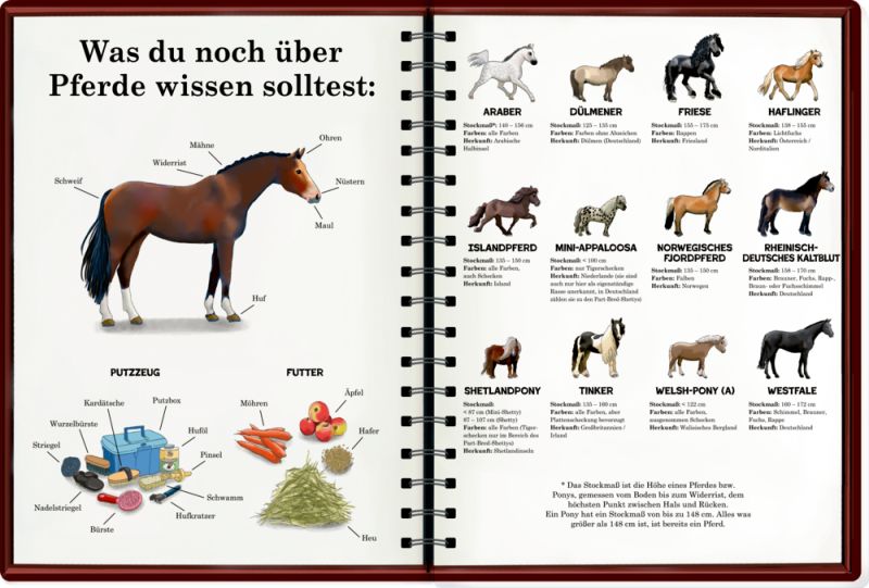 Mein riesengroßes Wimmel-Such-Buch: Pferde und Ponys