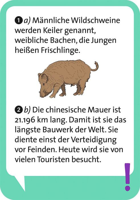 Pocket Quiz junior Allgemeinwissen