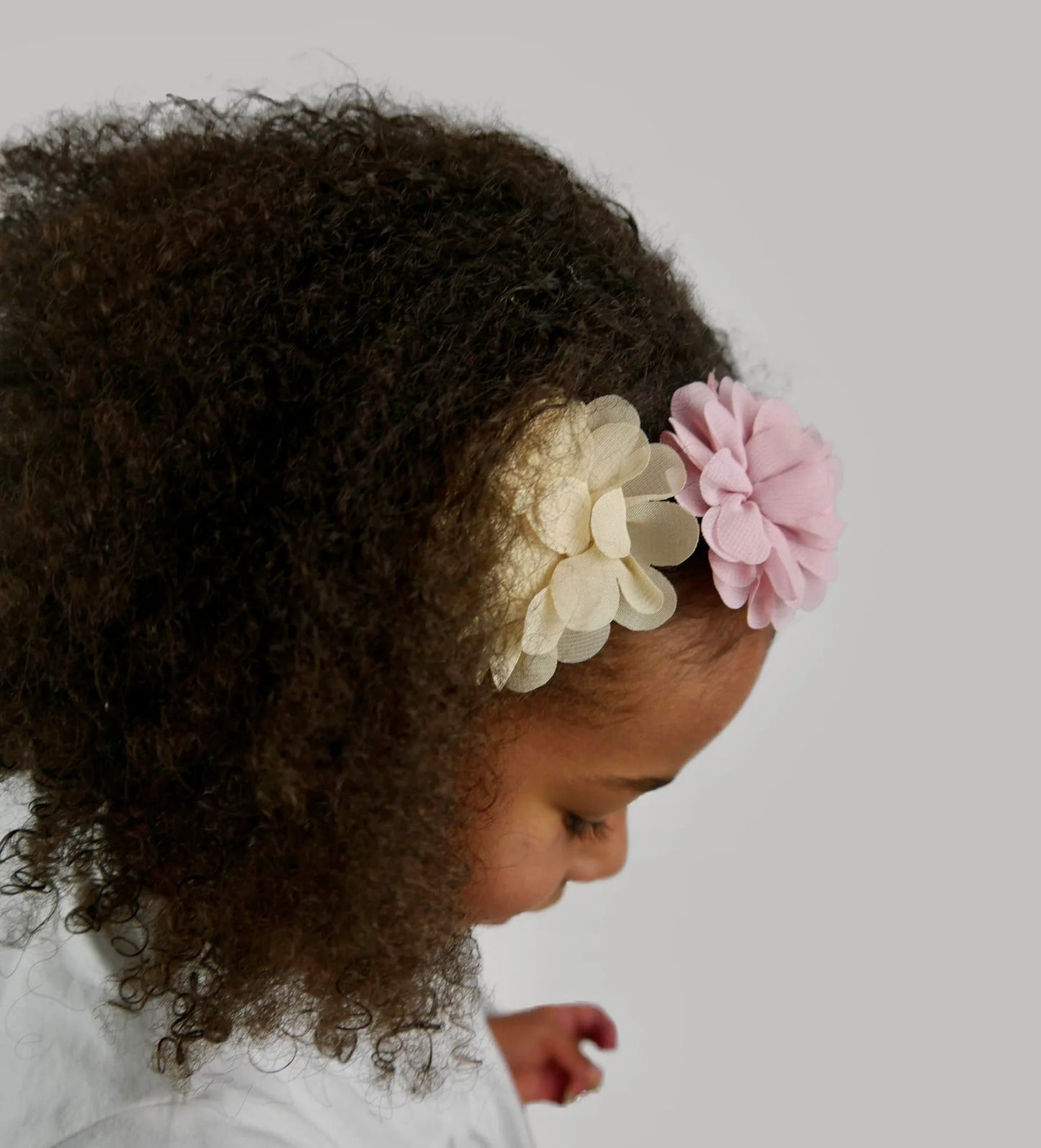 Amy Chiffon PomPom Clip Set almond/cherry