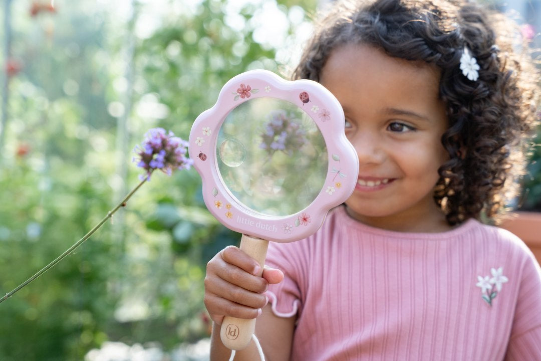 Lupe Fairy Garden