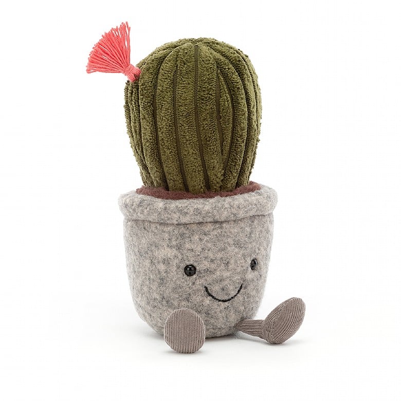 Silly Barrel Cactus
