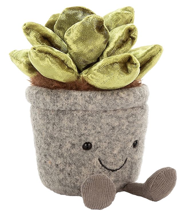 Silly Succulent Jade