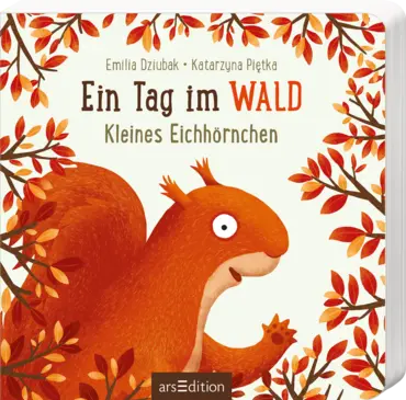 Ein Tag im Wald- kleines Eichhörnchen