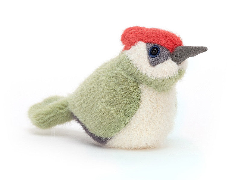 Birding Woodpecker