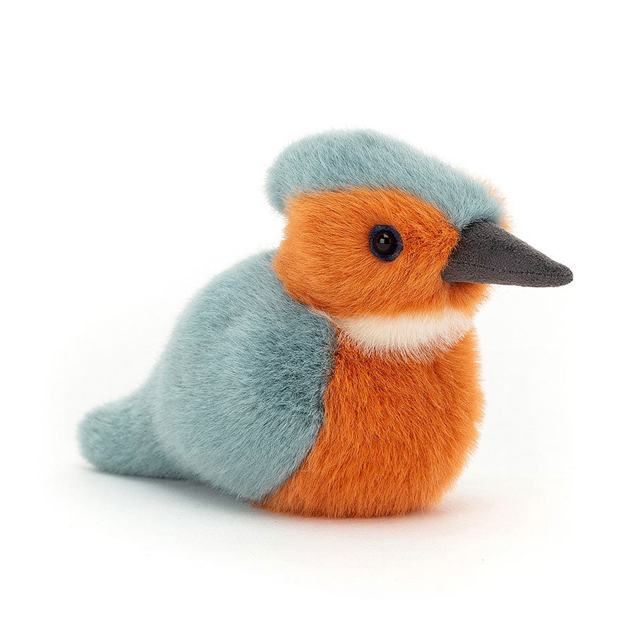 Birding Kingfisher