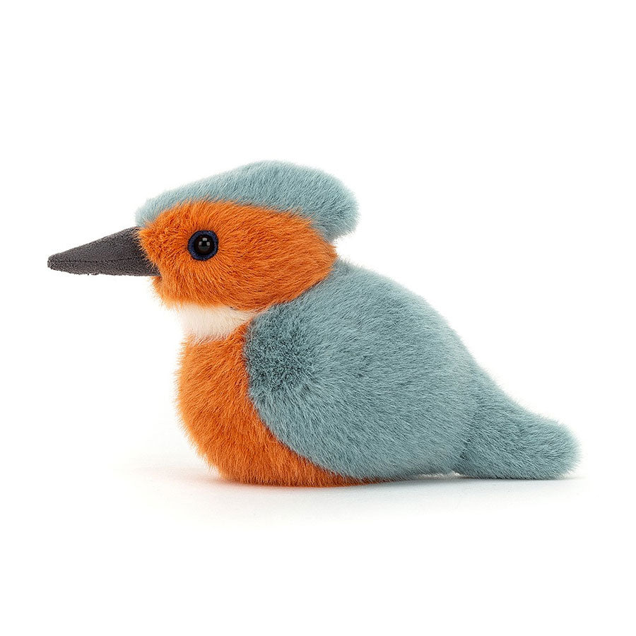 Birding Kingfisher