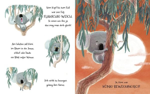 Trau dich Koala Bär