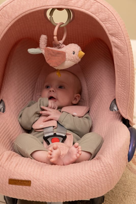Kinderwagenanhänger Vogel