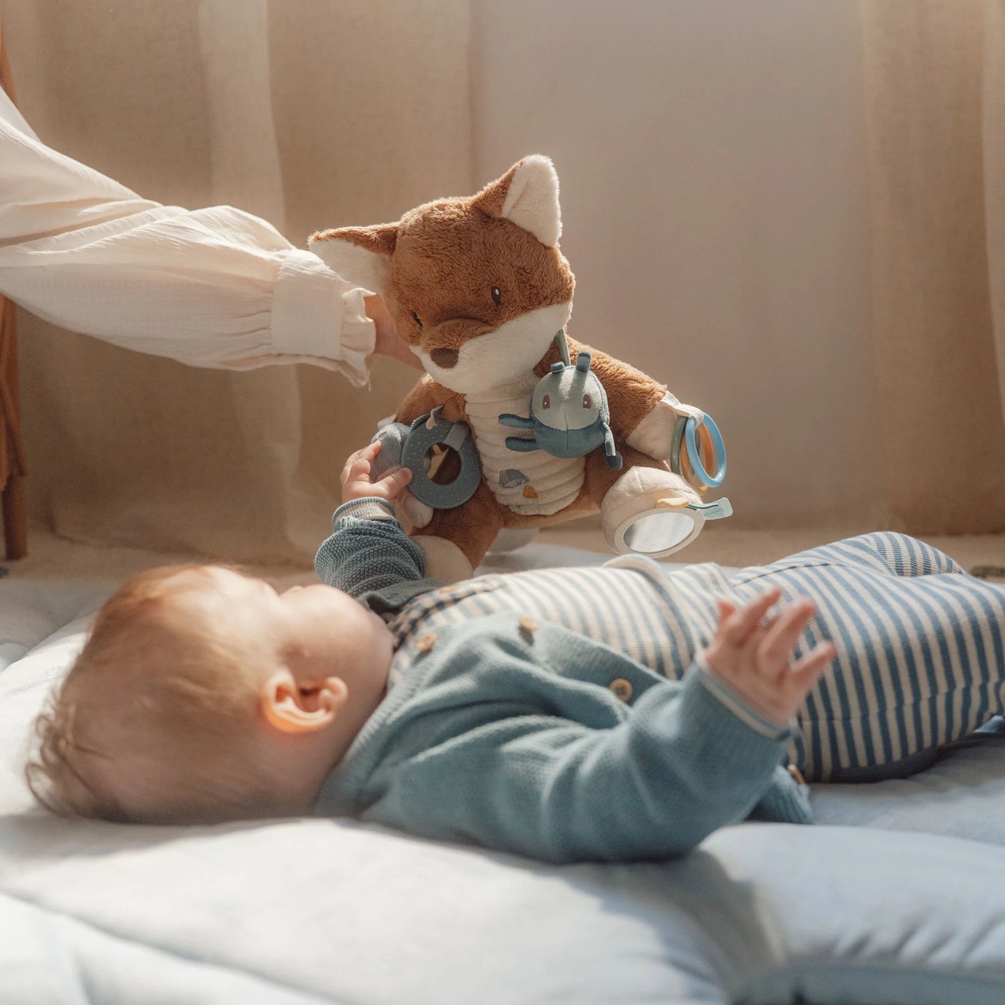 Aktivitäten Fuchs blau