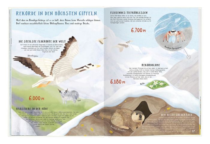 Verrückte Rekorde - Höher, Größer, Weiter in der Natur