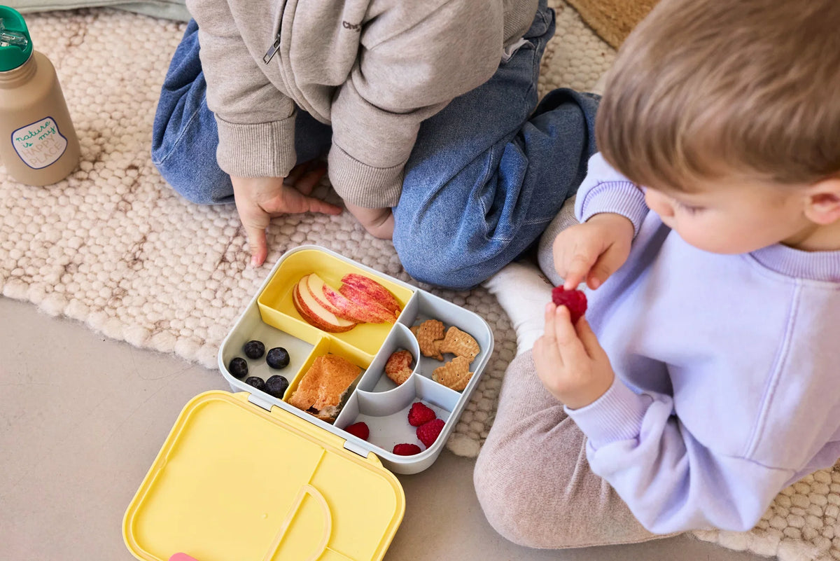 Lässig Bento Lunchboxen- verschiedene Designs