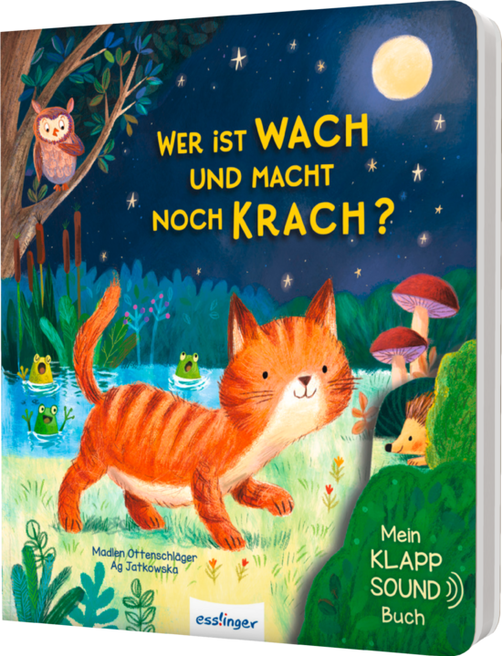Mein Klapp-Sound-Buch Wer ist wach und macht noch Krach?