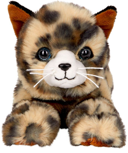Liegende Katze Jasmin