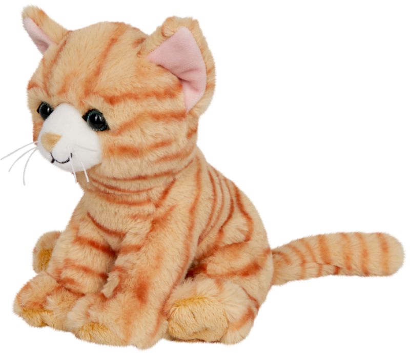 Katze Ruby