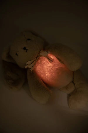 Beruhigendes Kuscheltier - Bunny