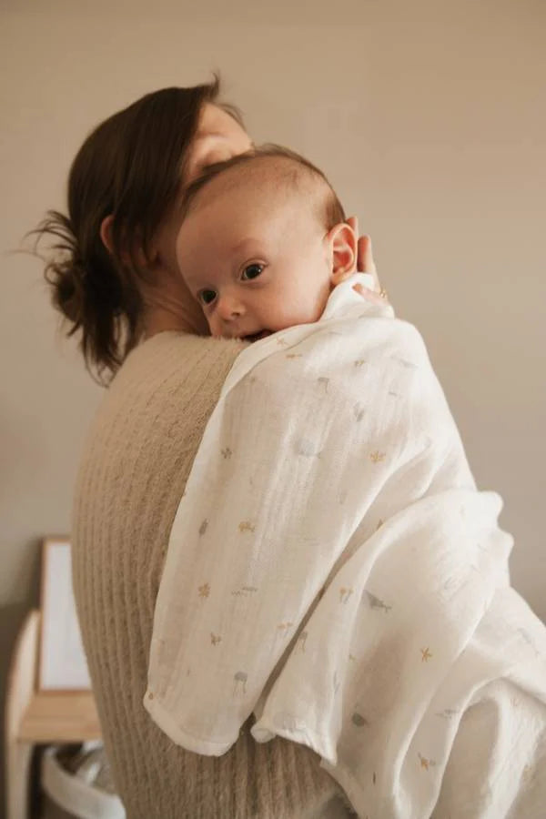 Bamboom Swaddle XL einzeln - 120x120cm - SEALIFE