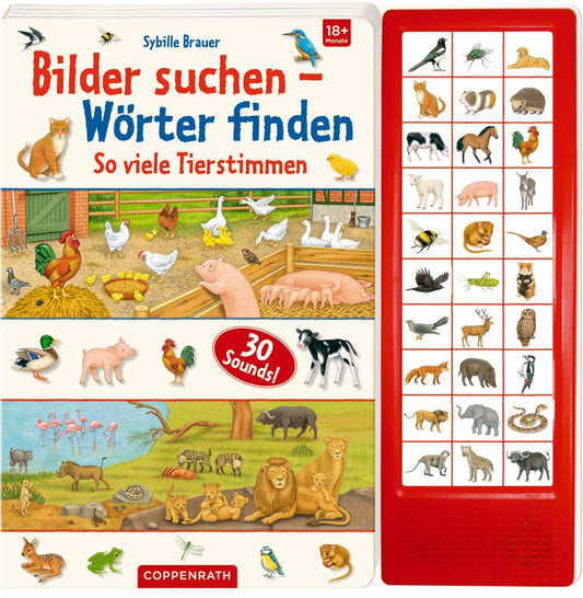 Bilder suchen Wörter finden