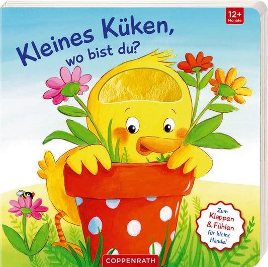 Kleines Küken, wo bist du ?