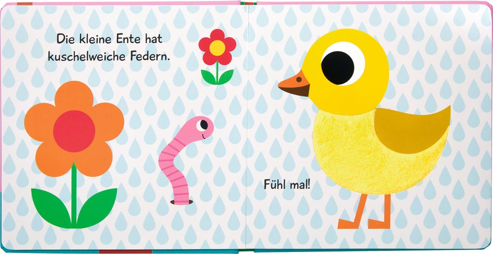 Mein Fühlbuch: Kleine Ente (Fühlen&begreifen)