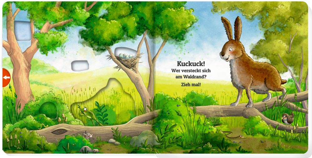 Zieh mal! Kuckuck, es wimmelt im Wald!