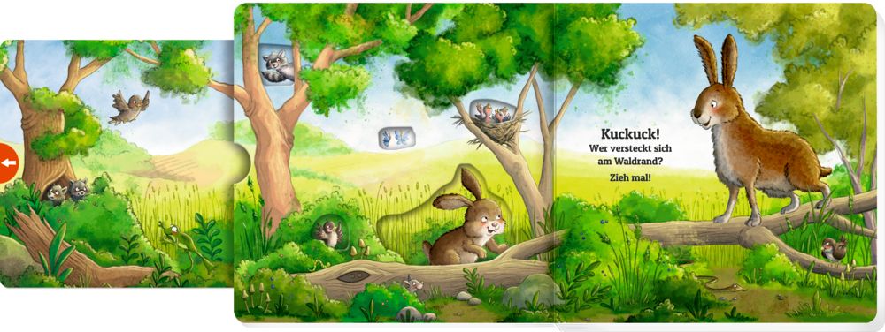 Zieh mal! Kuckuck, es wimmelt im Wald!