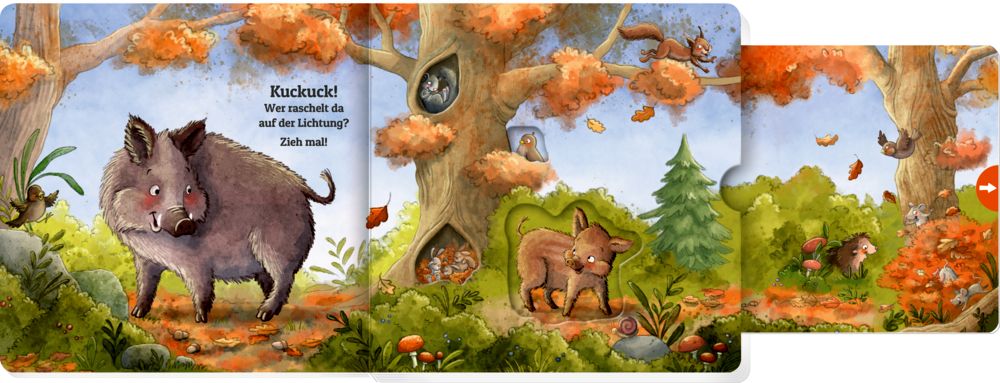 Zieh mal! Kuckuck, es wimmelt im Wald!