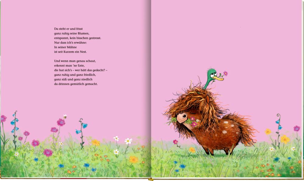 Ronny, das Pony (Bd.2) und Gerd, das Pferd, und Bente, die Ente