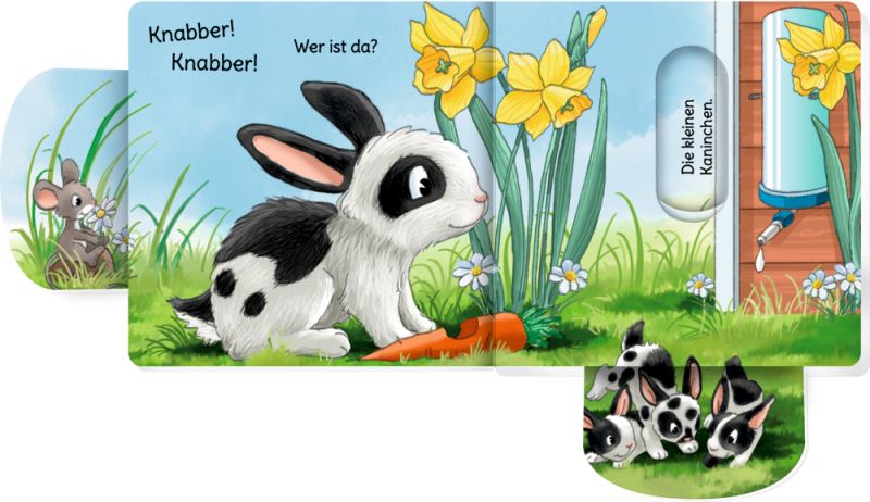 minifanten 47: Quak! Quak! Wer ist da?
