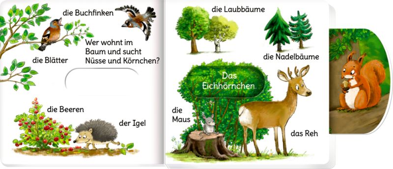 minifanten 48: Schieb mal, sag mal! Wer lebt im Wald?