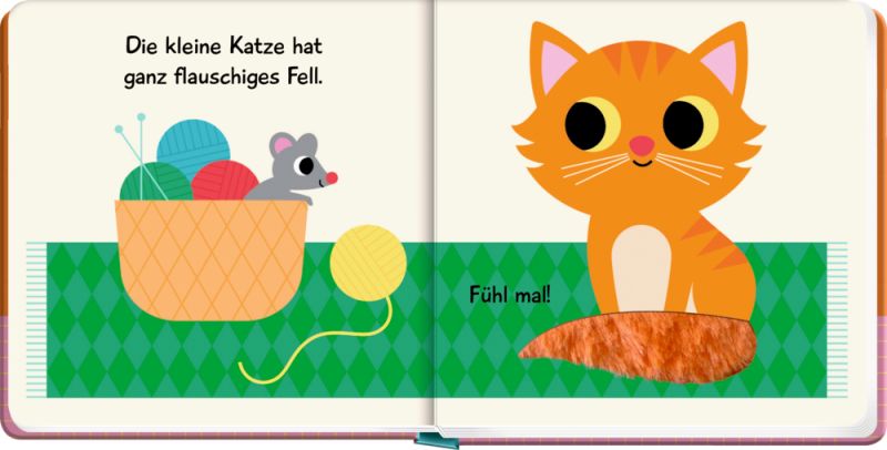 Mein Fühlbuch: Kleine Katze (Fühlen&begreifen)