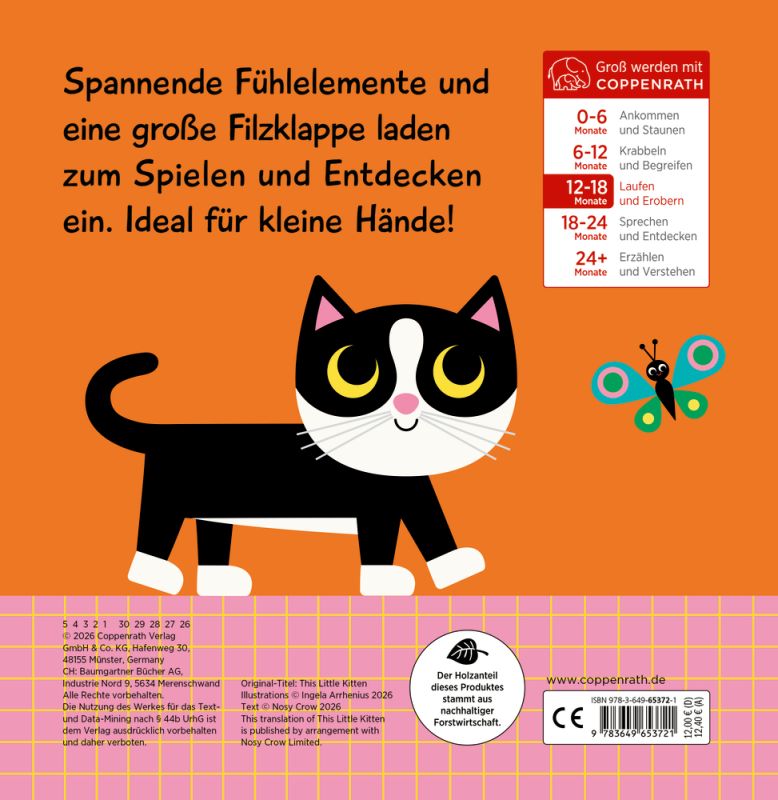 Mein Fühlbuch: Kleine Katze (Fühlen&begreifen)