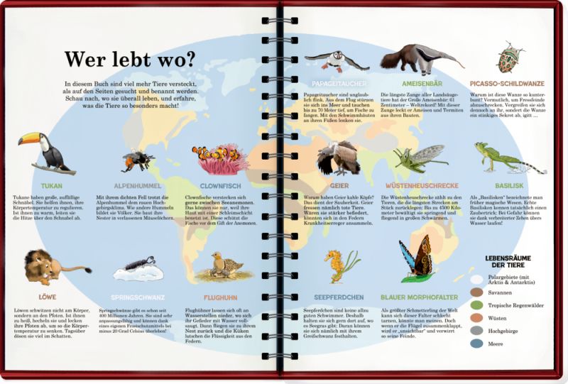 Mein riesengroßes WimmelSuchBuch: Tiere in aller Welt