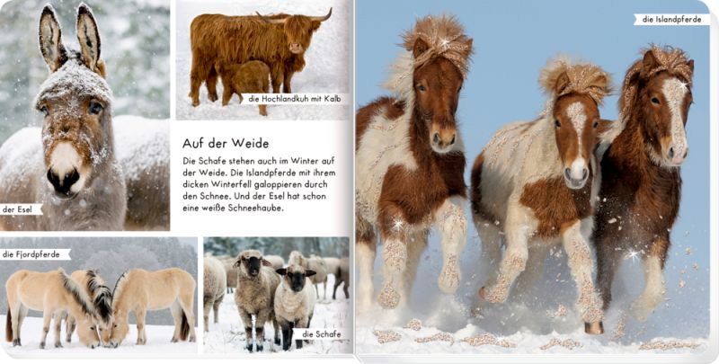 Meine liebsten Tiere im Winter