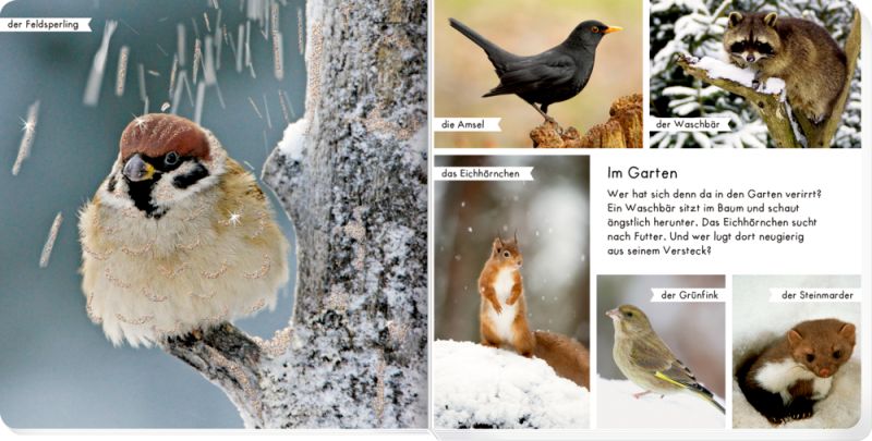 Meine liebsten Tiere im Winter