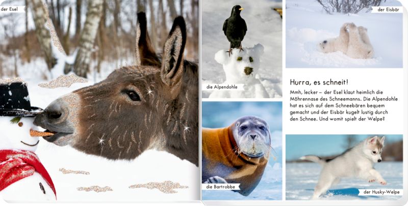 Meine liebsten Tiere im Winter