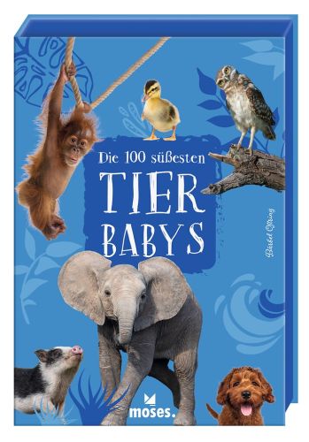 Die 100 süßesten Tierbabys, Kartenbox