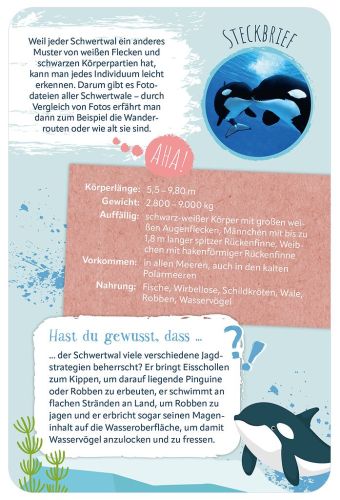 Die 100 schönsten Tiere der Welt, Kartenbox