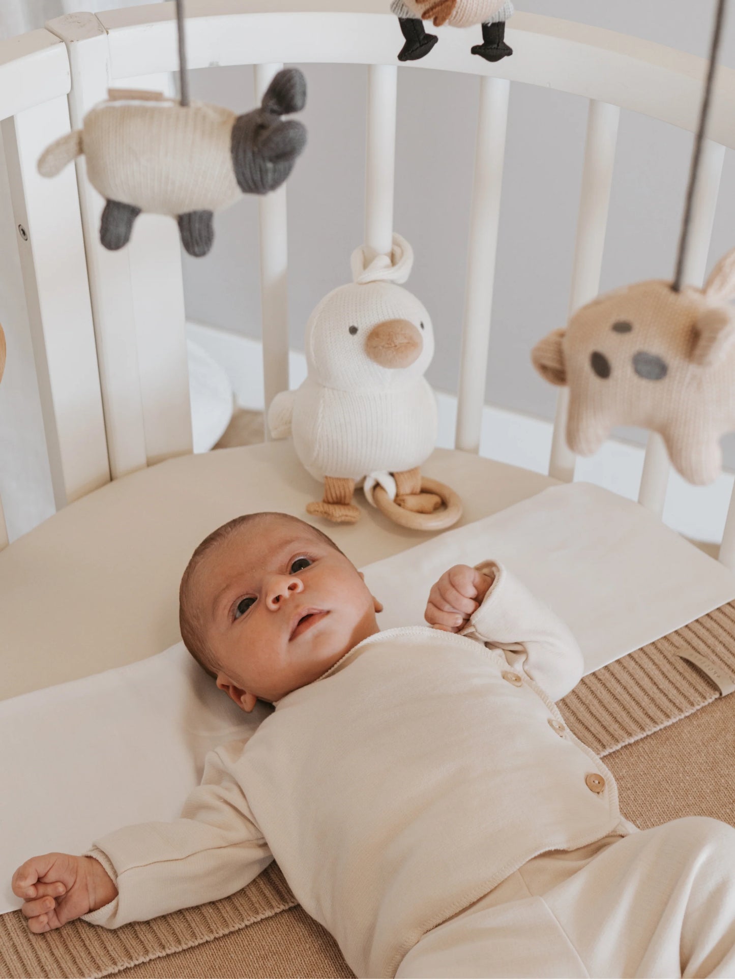 Spieluhr Duck gestrickt