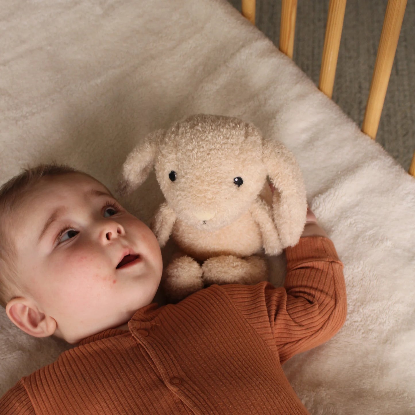 Milo (Oat) Plüsch Nachtlicht