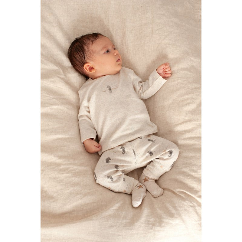 Socken- Sea Sweeties