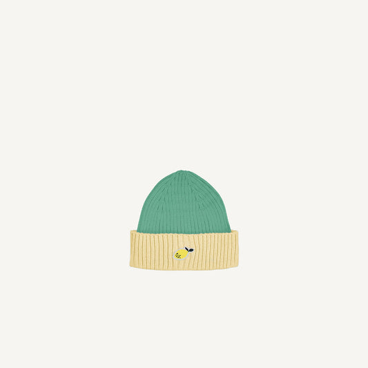 Beanie wonders of the deep sea