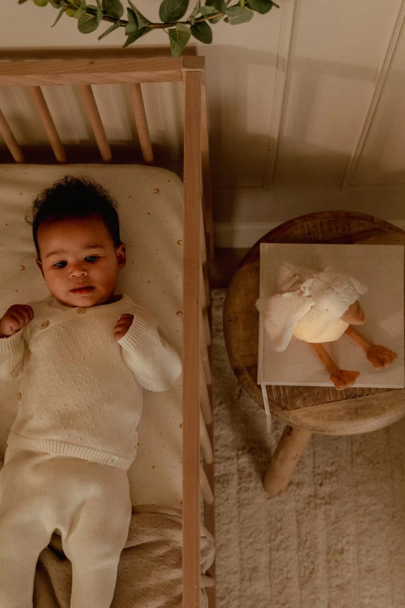 Kuschel Gans mit Nachtlicht - Licht & Sound